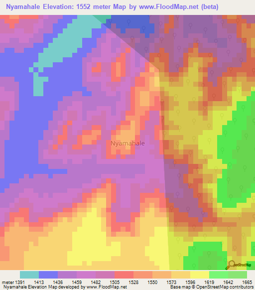 Nyamahale,Tanzania Elevation Map