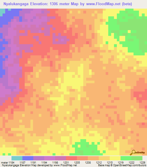 Nyalukangaga,Tanzania Elevation Map