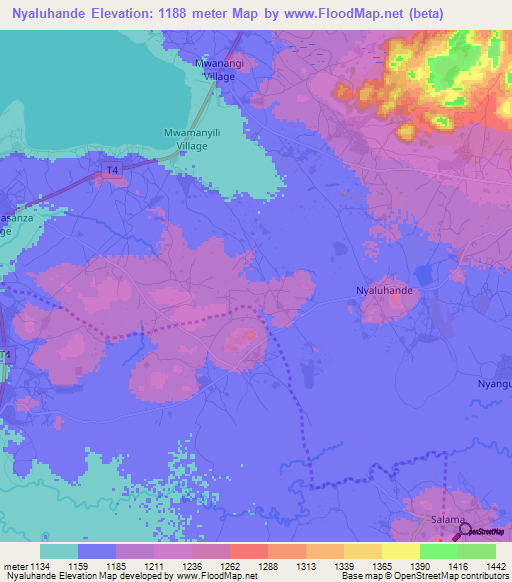 Nyaluhande,Tanzania Elevation Map