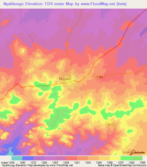 Nyalikungu,Tanzania Elevation Map