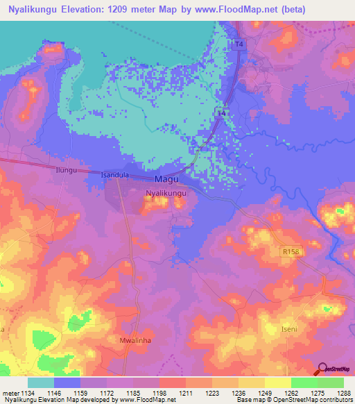 Nyalikungu,Tanzania Elevation Map