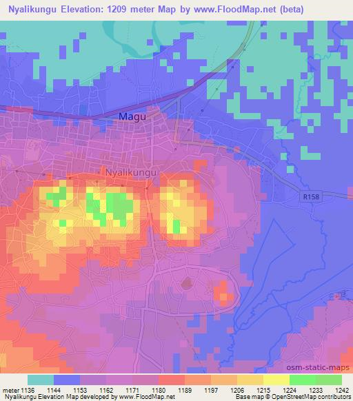 Nyalikungu,Tanzania Elevation Map