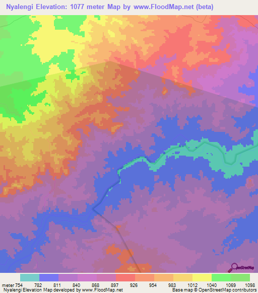 Nyalengi,Tanzania Elevation Map