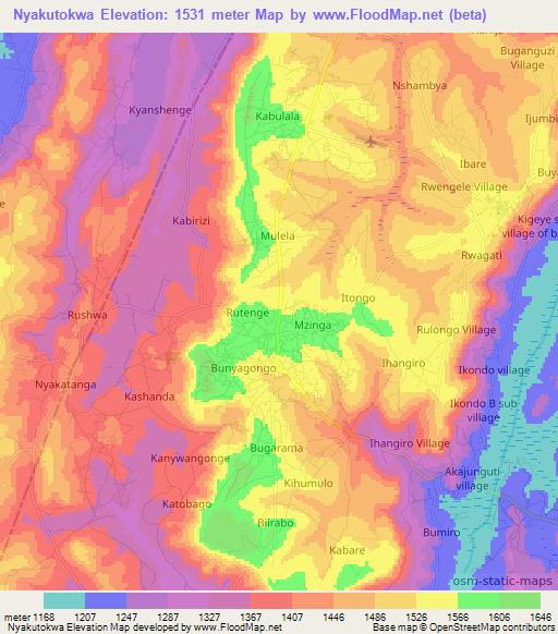 Nyakutokwa,Tanzania Elevation Map