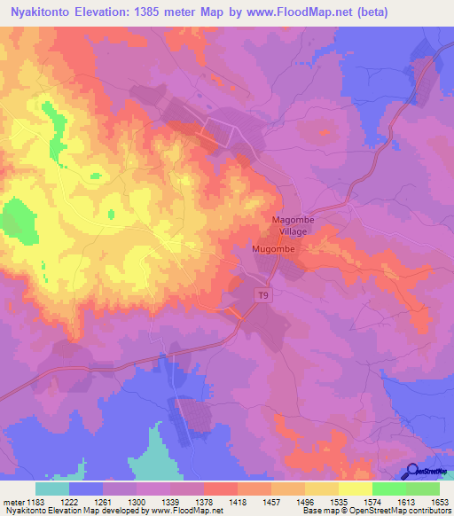 Nyakitonto,Tanzania Elevation Map