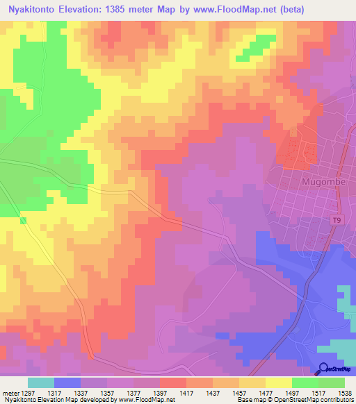 Nyakitonto,Tanzania Elevation Map