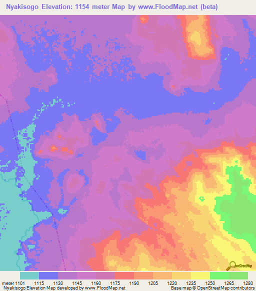 Nyakisogo,Tanzania Elevation Map