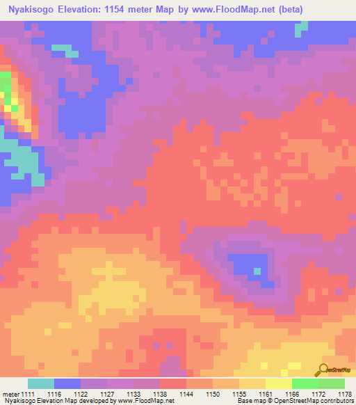 Nyakisogo,Tanzania Elevation Map