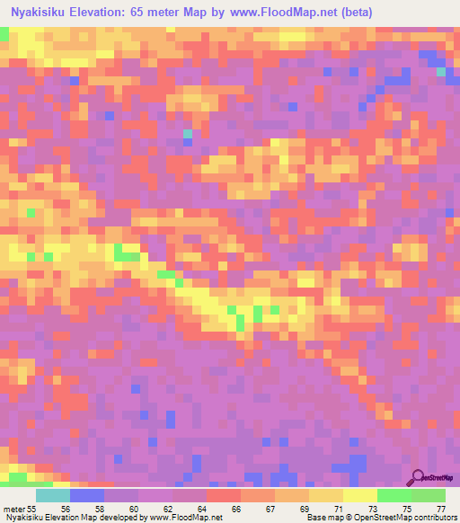 Nyakisiku,Tanzania Elevation Map