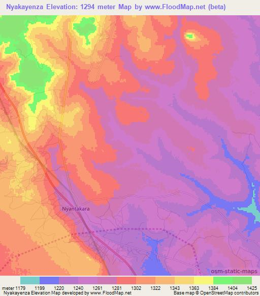 Nyakayenza,Tanzania Elevation Map