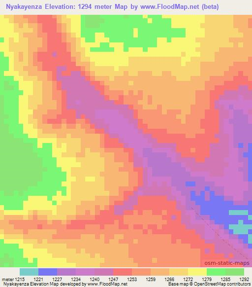 Nyakayenza,Tanzania Elevation Map