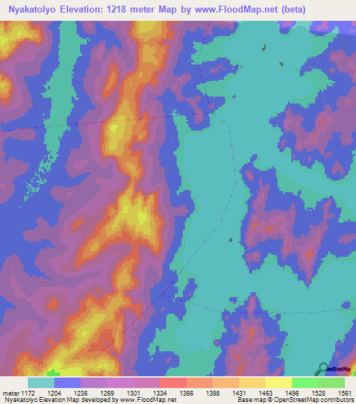 Nyakatolyo,Tanzania Elevation Map