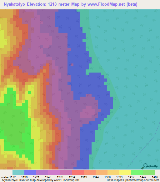 Nyakatolyo,Tanzania Elevation Map