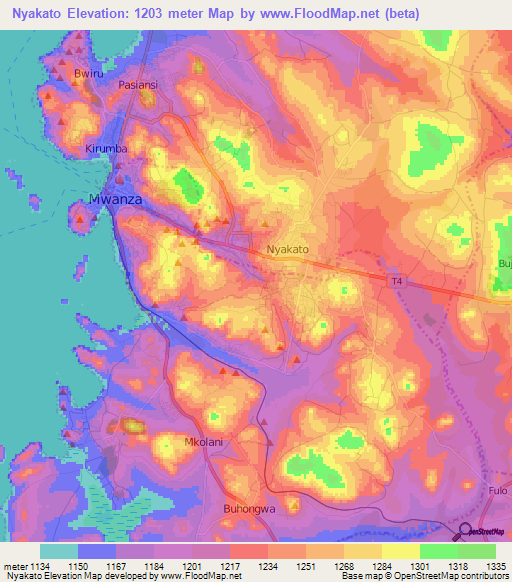 Nyakato,Tanzania Elevation Map