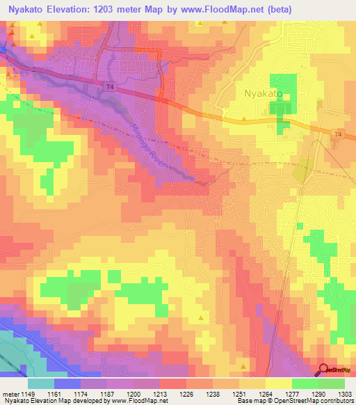 Nyakato,Tanzania Elevation Map