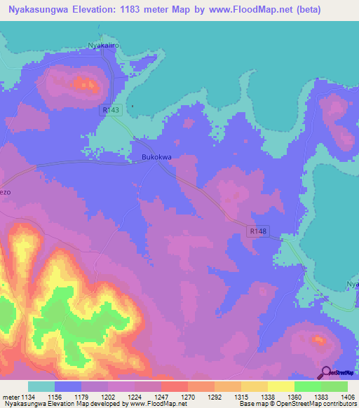 Nyakasungwa,Tanzania Elevation Map