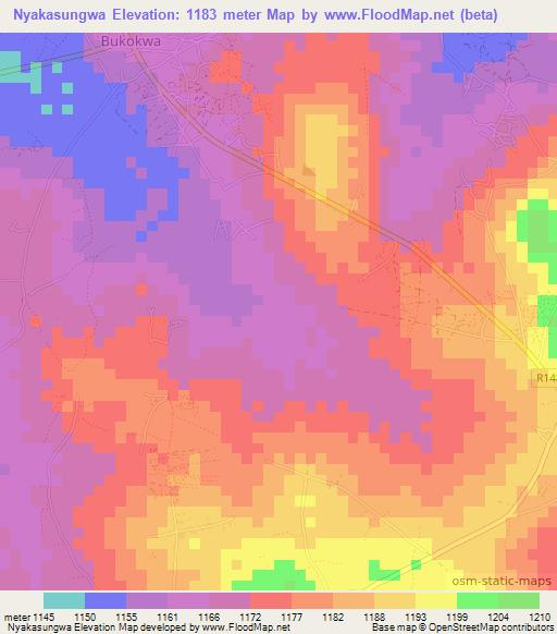 Nyakasungwa,Tanzania Elevation Map