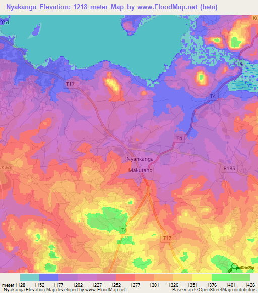 Nyakanga,Tanzania Elevation Map