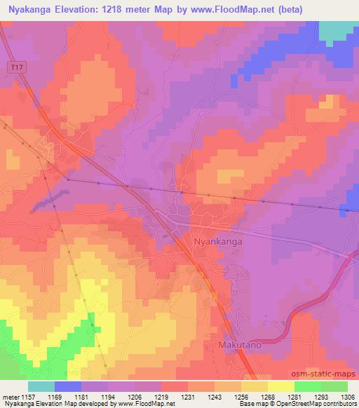 Nyakanga,Tanzania Elevation Map