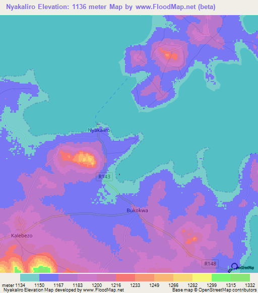 Nyakaliro,Tanzania Elevation Map