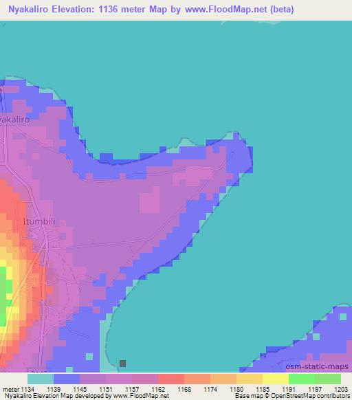 Nyakaliro,Tanzania Elevation Map