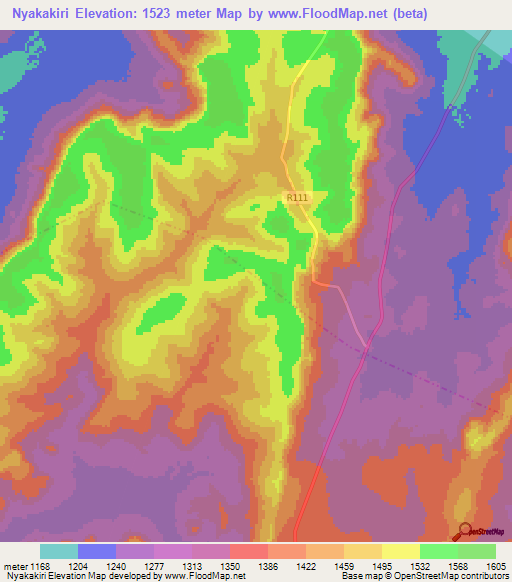 Nyakakiri,Tanzania Elevation Map