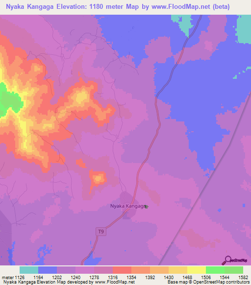 Nyaka Kangaga,Tanzania Elevation Map