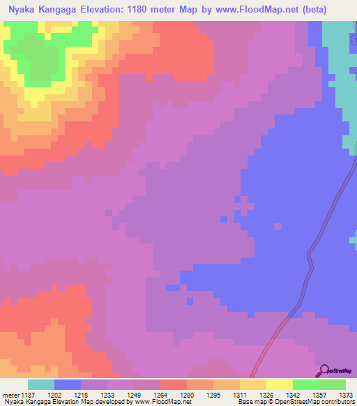 Nyaka Kangaga,Tanzania Elevation Map