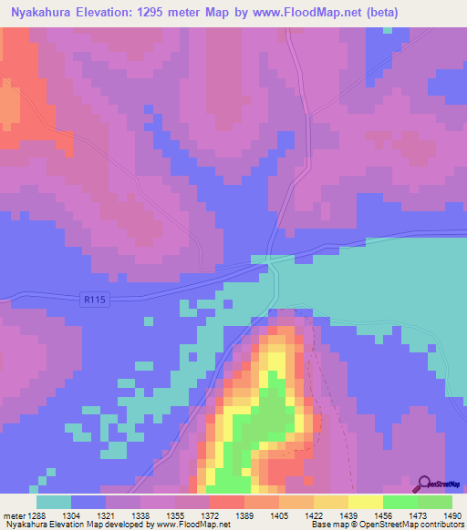 Nyakahura,Tanzania Elevation Map