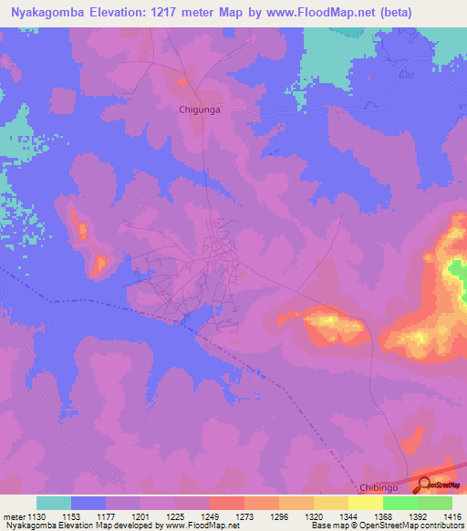 Nyakagomba,Tanzania Elevation Map