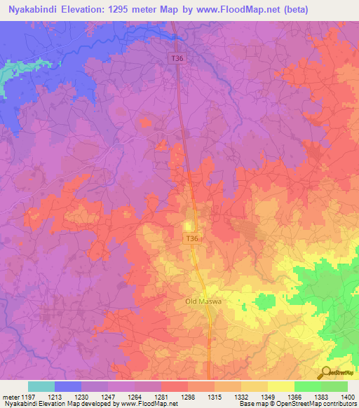 Nyakabindi,Tanzania Elevation Map