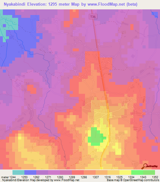 Nyakabindi,Tanzania Elevation Map