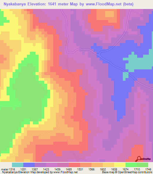 Nyakabanya,Tanzania Elevation Map