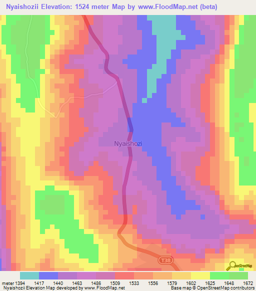 Nyaishozii,Tanzania Elevation Map