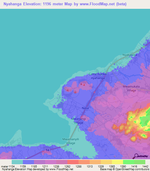 Nyahanga,Tanzania Elevation Map