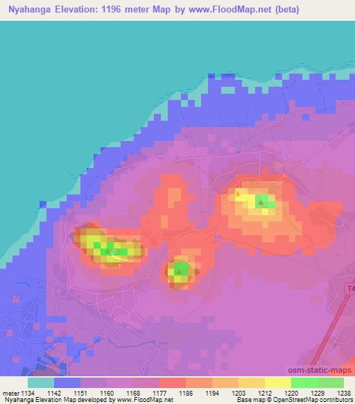 Nyahanga,Tanzania Elevation Map