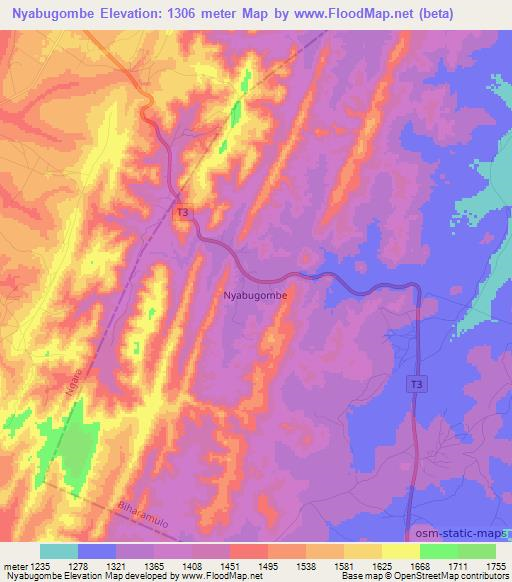 Nyabugombe,Tanzania Elevation Map