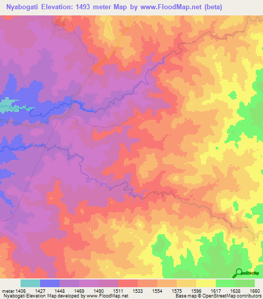 Nyabogati,Tanzania Elevation Map