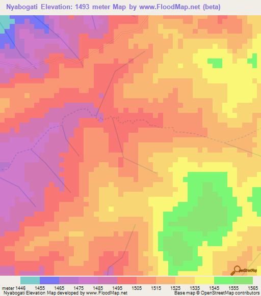 Nyabogati,Tanzania Elevation Map