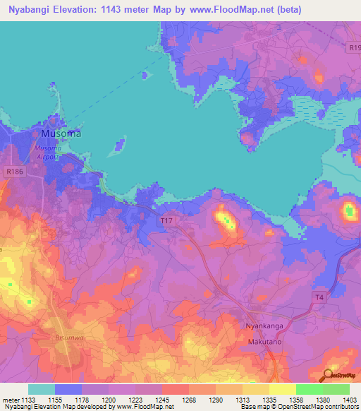 Nyabangi,Tanzania Elevation Map