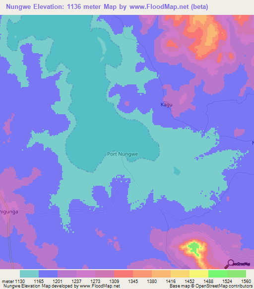 Nungwe,Tanzania Elevation Map