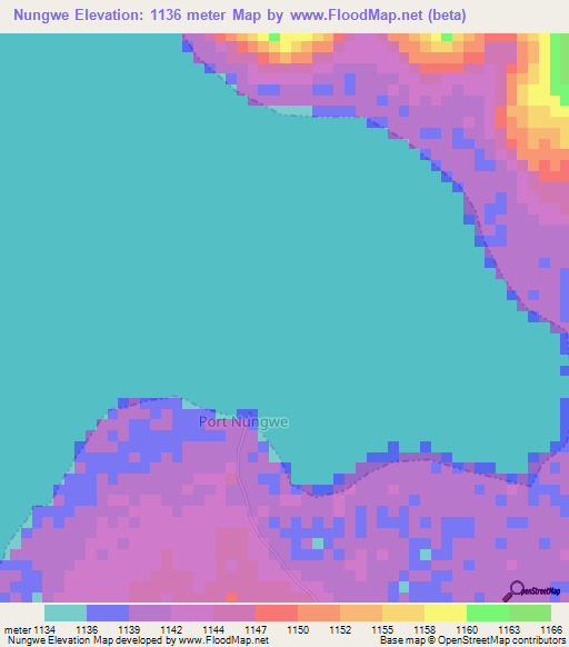 Nungwe,Tanzania Elevation Map