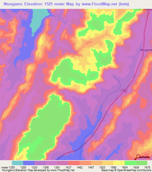 Ntungamo,Tanzania Elevation Map