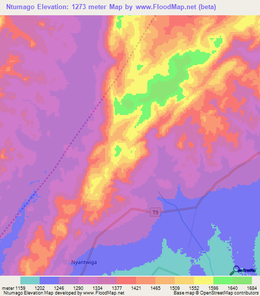 Ntumago,Tanzania Elevation Map