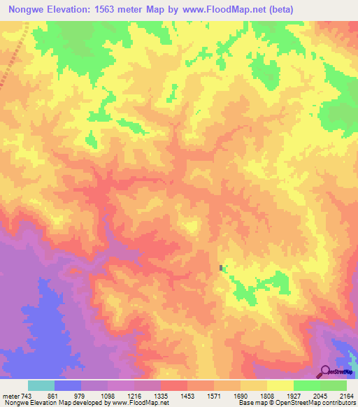 Nongwe,Tanzania Elevation Map