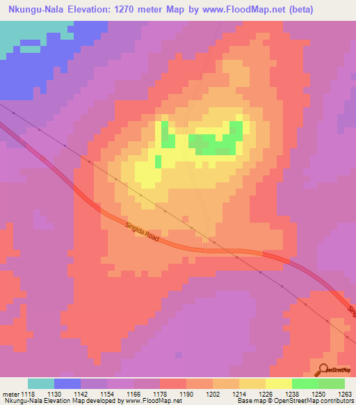 Nkungu-Nala,Tanzania Elevation Map