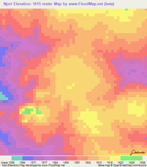 Njori,Tanzania Elevation Map