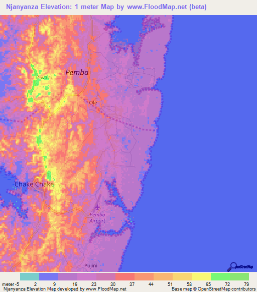 Njanyanza,Tanzania Elevation Map