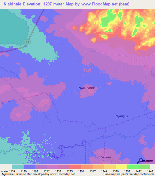 Njabihale,Tanzania Elevation Map