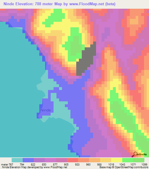 Ninde,Tanzania Elevation Map